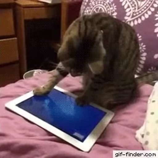 😁 Стикер «FunnyAnimal2» для Telegram