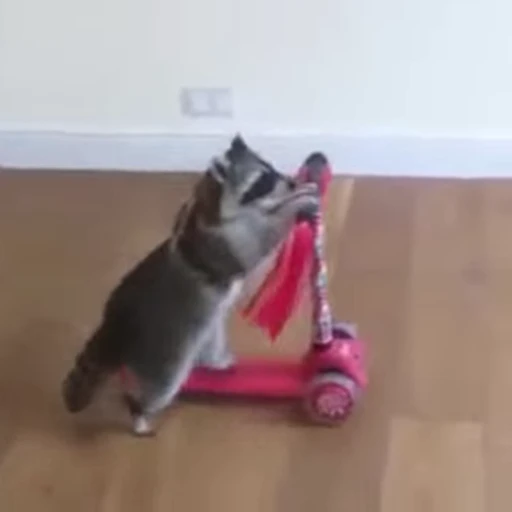 😁 Стикер «FunnyAnimal2» для Telegram