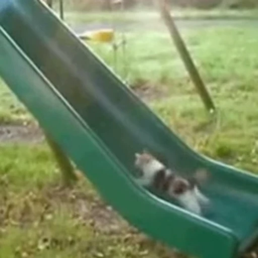😁 Стикер «FunnyAnimal2» для Telegram