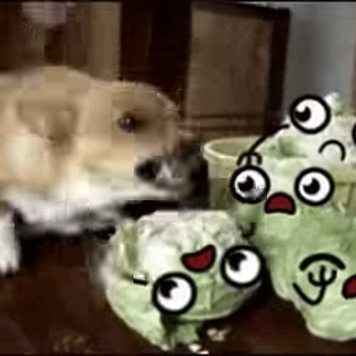 😁 Стикер «FunnyAnimal2» для Telegram