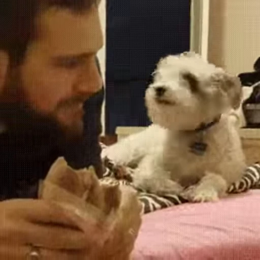 😁 Стикер «FunnyAnimal2» для Telegram