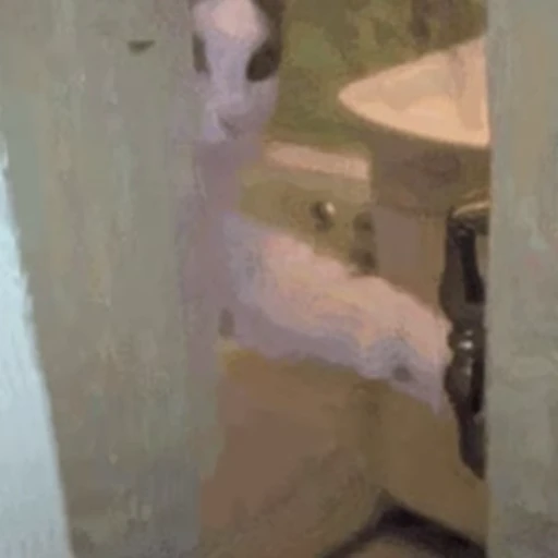 👋 Стикер «Funny animals [gif]» для Telegram