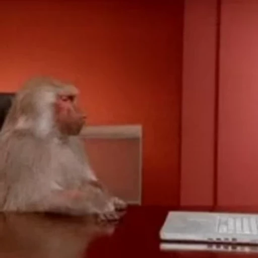 😡 Стикер «Funny animals [gif]» для Telegram