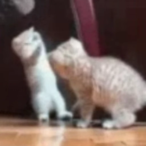 😤 Стикер «Funny animals [gif]» для Telegram