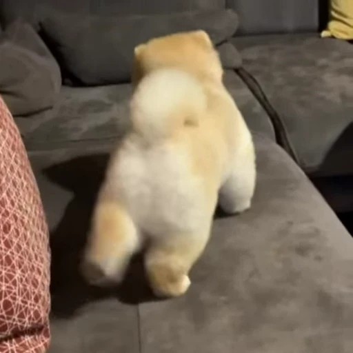 ☺️ Стикер «Funny animals 2 [gif]» для Telegram