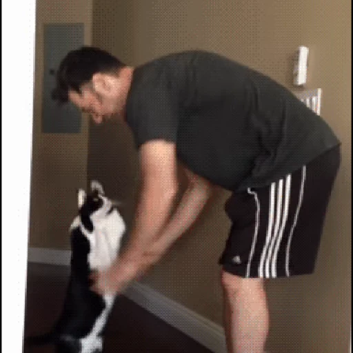 🐱 Стикер «Коты ?» для Telegram