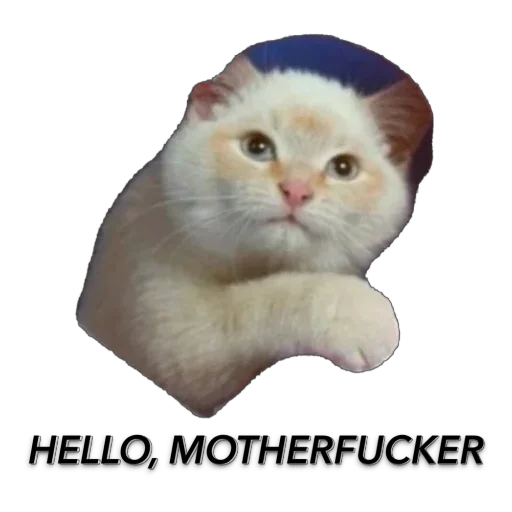 🫥 Стикер «Funnymals» для Telegram