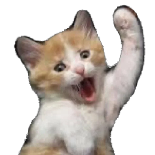 🫥 Стикер «Funnymals» для Telegram