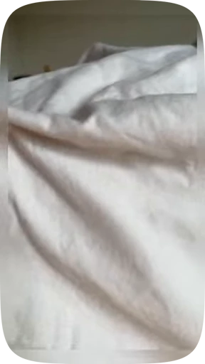 🦜 Стикер «Funny Parrots Video» для Telegram