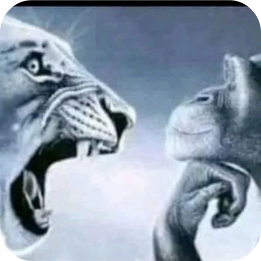 🖼 Стикер «funny pics» для Telegram