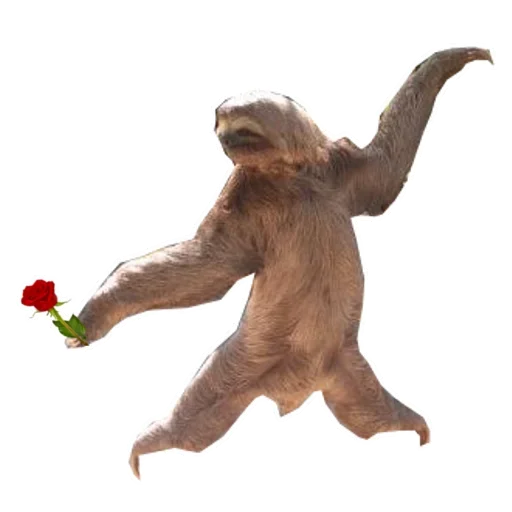😐 Стикер «Funny Sloth» для Telegram