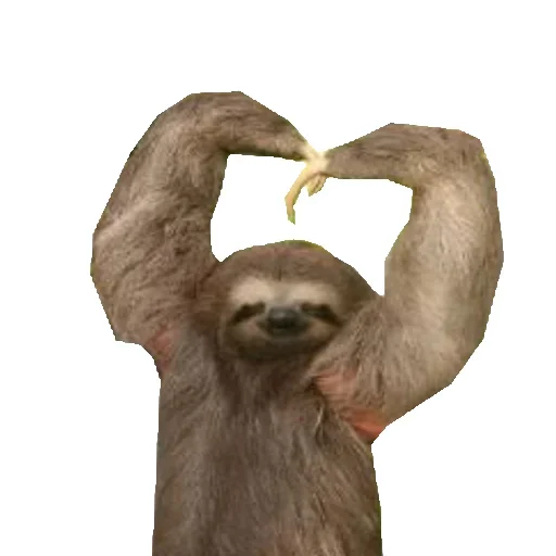 🤯 Стикер «Funny Sloth» для Telegram