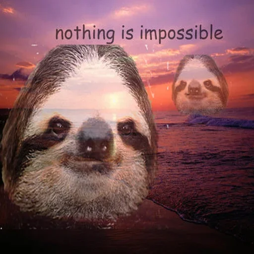 🤯 Стикер «Funny Sloth» для Telegram