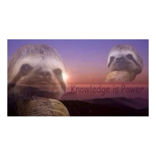 😐 Стикер «Funny Sloth» для Telegram