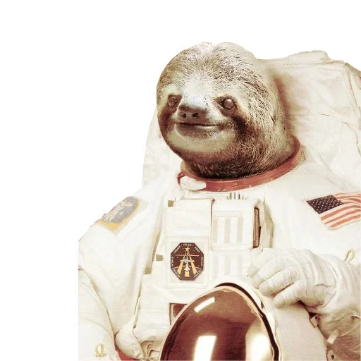 😥 Стикер «Funny Sloth» для Telegram