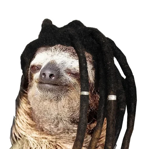 🤢 Стикер «Funny Sloth» для Telegram
