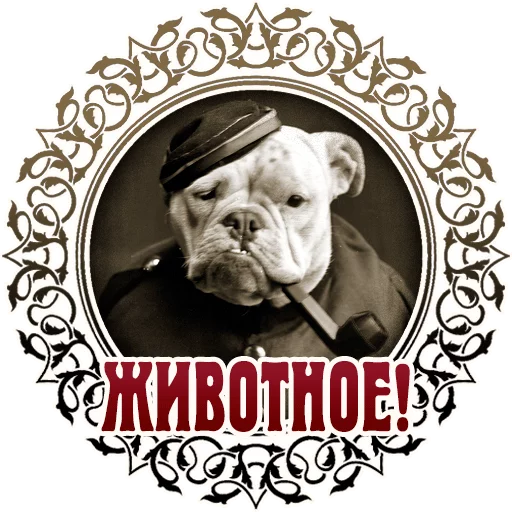 😺 Стикер «Vintage» для Telegram