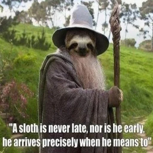 🧙‍♂️ Стикер «Fun Sloth» для Telegram