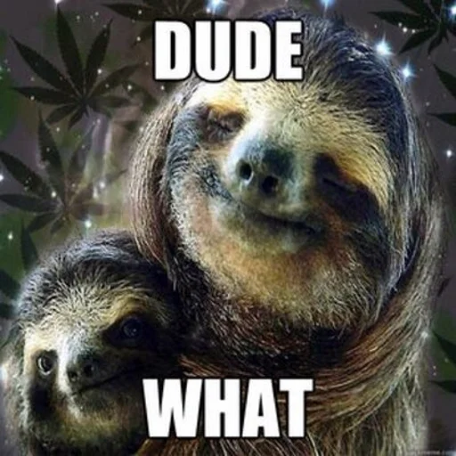 🚬 Стикер «Fun Sloth» для Telegram