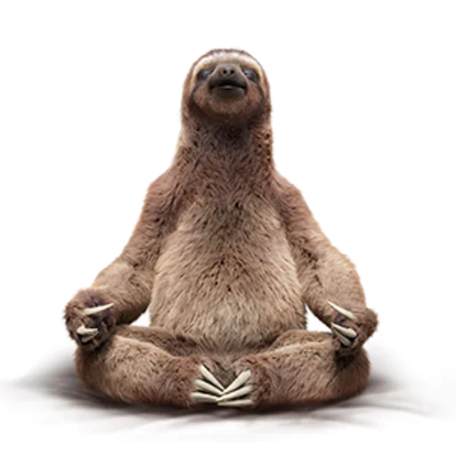 🧘 Стикер «Fun Sloth» для Telegram