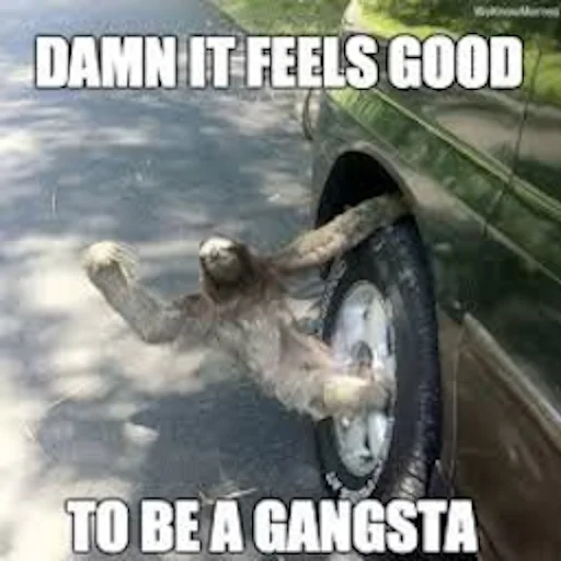 😜 Стикер «Fun Sloth» для Telegram