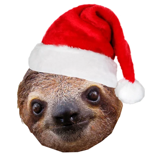 🎅 Стикер «Fun Sloth» для Telegram