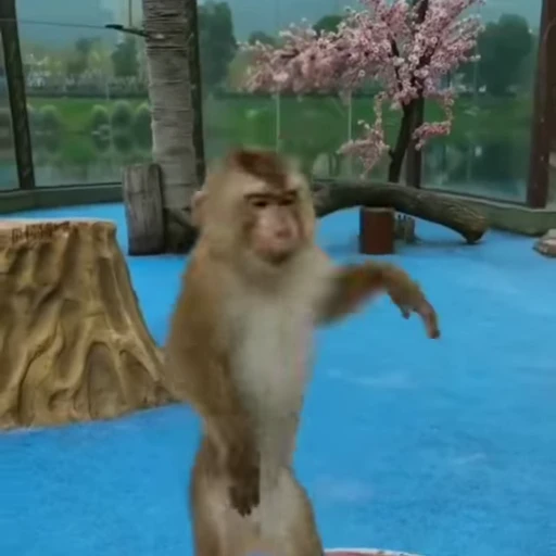 🥳 Стикер «Funny Monkeys» для Telegram