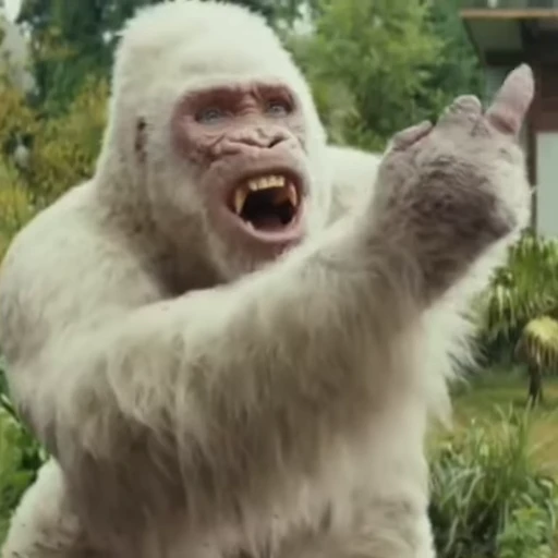 🖕 Стикер «Funny Monkeys» для Telegram