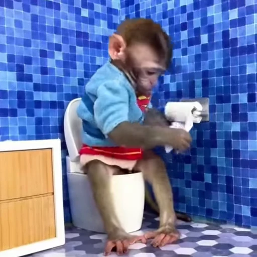 🚽 Стикер «Funny Monkeys» для Telegram