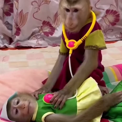🧑‍⚕️ Стикер «Funny Monkeys» для Telegram
