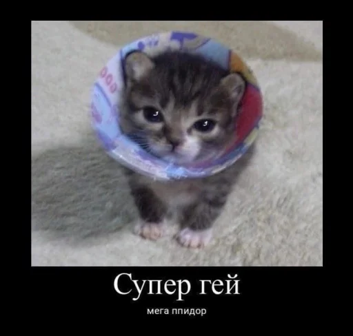 😭 Стикер «fusywkl» для Telegram