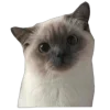 Стикер 3 Fvck