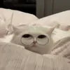 Стикер 45 Cats #animals #cat #meme #cute