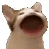Обложка набора Cats #animals #cat #meme #cute
