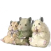 Обложка набора Gotte And Friends