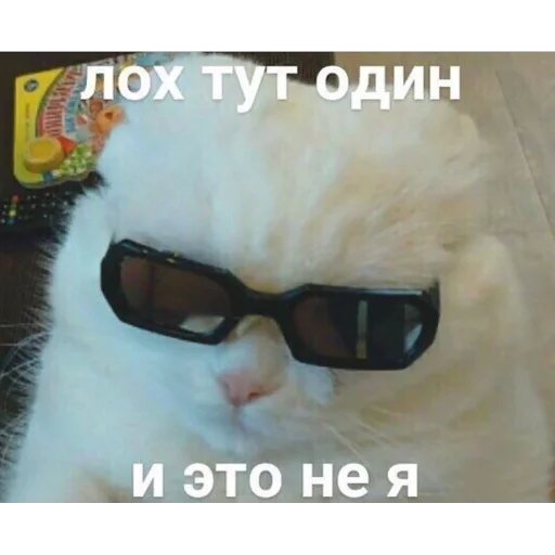 😎 Стикер «*Мемы на все случаи жизни*» для Telegram