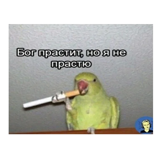 🖕 Стикер «*Мемы на все случаи жизни*» для Telegram