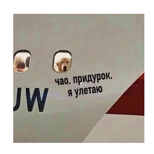 🚅 Стикер «*Мемы на все случаи жизни*» для Telegram