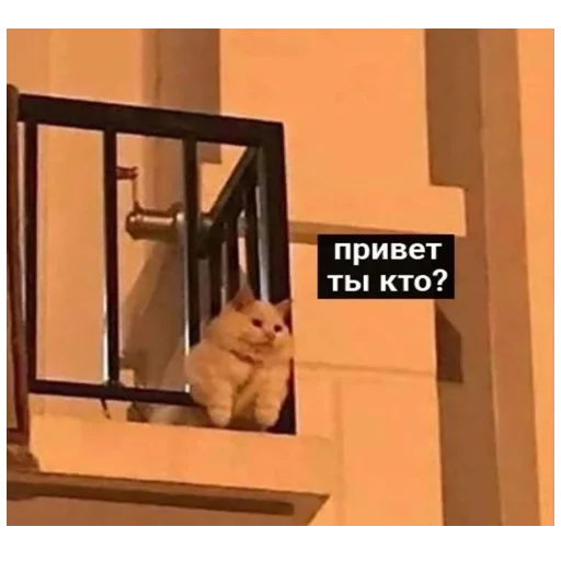 🤨 Стикер «*Мемы на все случаи жизни*» для Telegram