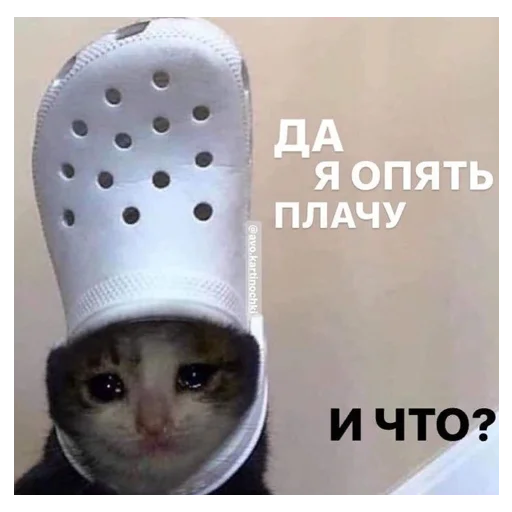 😭 Стикер «*Мемы на все случаи жизни*» для Telegram