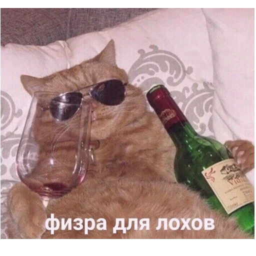 ⚽ Стикер «*Мемы на все случаи жизни*» для Telegram