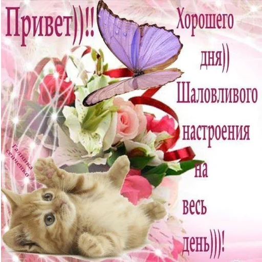 👋 Стикер «*Мемы на все случаи жизни*» для Telegram