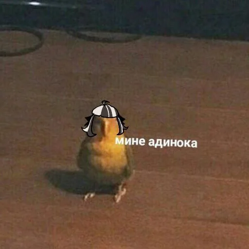 🥰 Стикер «суперселл возьмите на работу» для Telegram