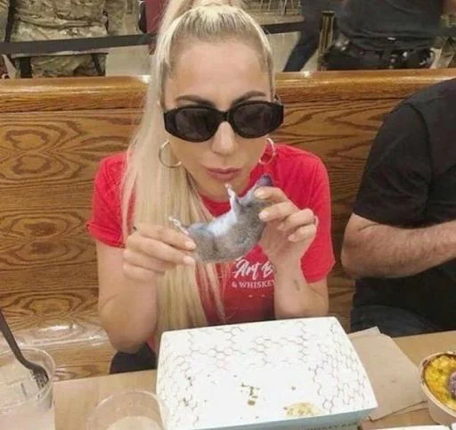 🚨 Стикер «Lady Gaga Memes» для Telegram