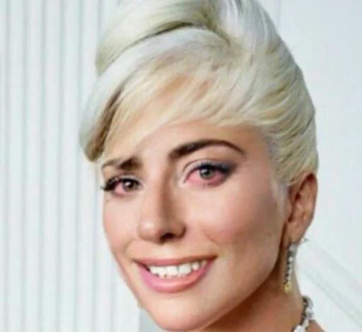 🚨 Стикер «Lady Gaga Memes» для Telegram