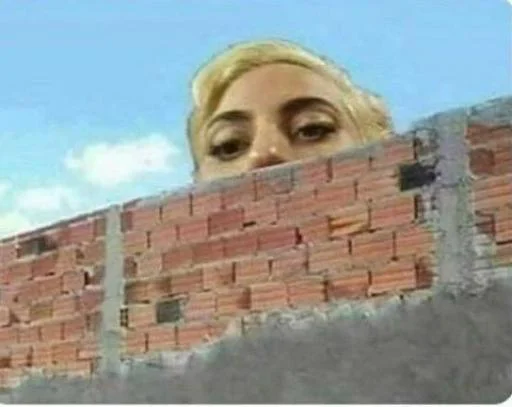 🚨 Стикер «Lady Gaga Memes» для Telegram