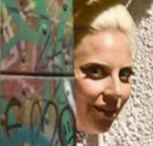 🚨 Стикер «Lady Gaga Memes» для Telegram