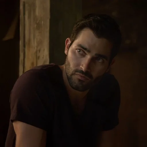 Стикерпак Tyler Lee Hoechlin для Telegram