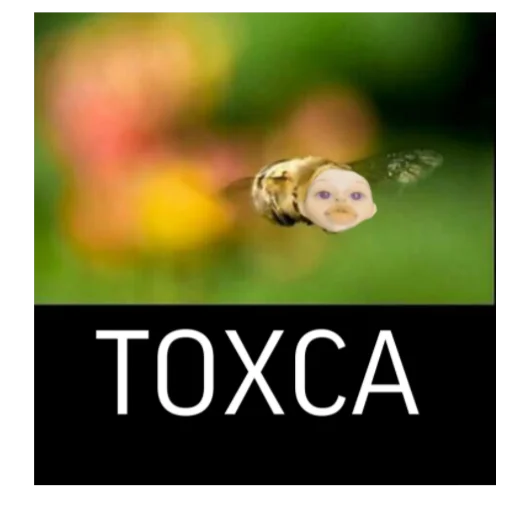 😹 Стикер «Тоха2.0» для Telegram