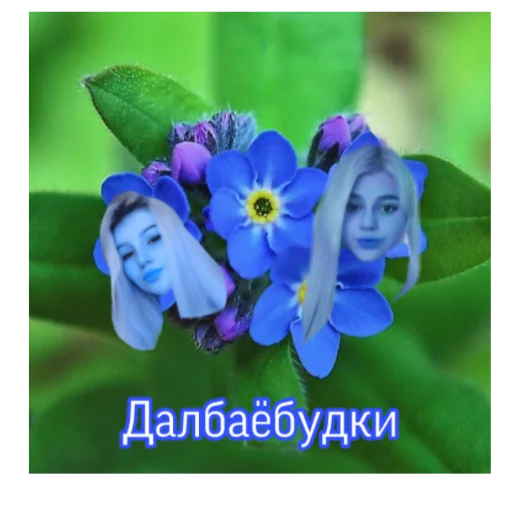 🌸 Стикер «Тоха2.0» для Telegram